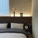 스테이 시래 이미지