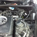 보쉬카상무점 이미지