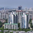 분당-207 이미지