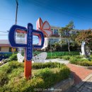 중앙동226 이미지