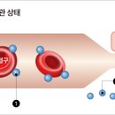 오투헬스케어 이미지