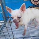 문경파출소 이미지