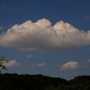 벌곡(대전) 이미지