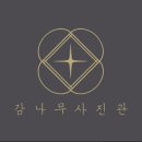 감나무사진관 이미지