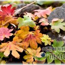 김태순농장 이미지