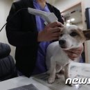 누리봄동물병원 이미지