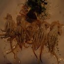 삼칠슈퍼 이미지