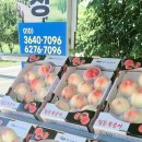 월계농장 이미지