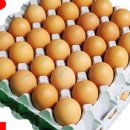 목동농장 이미지