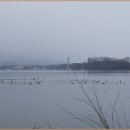 청산이야기 이미지