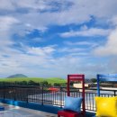 알지니포레스트 이미지