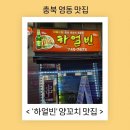 하얼빈 | 충북 영동 양꼬치 맛집 하얼빈 추천 내돈내산 솔직후기