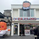 황박사목포쫀디기목포종합버스 이미지