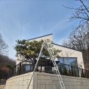 전원방제 | 용인 기흥구 소나무 가지치기 작업 및 수목방제 작업 후기