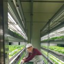 생선가게 PC방 이미지