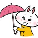 먹어섬 이미지