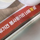 오늘도 너에개 | 인생 첫 유기견봉사 &lt;너에개로&gt; 후기
