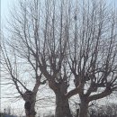 교하초등학교 이미지