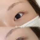 와이엘라