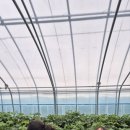 팀에이스태권도 이미지