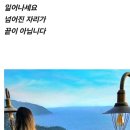 바다좋은 Daum카페