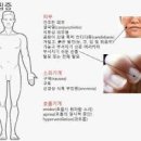 비오틴 하루섭취량 결핍증 함량 높은 음식 이미지