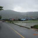 청산이야기 이미지