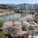 제우스 당구클럽 이미지