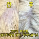 링원 이미지