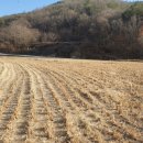 소보농장 이미지