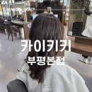 토모미 - 구미시 | [부평 가성비 미용실] 카이키키 부평본점 토모미 플러스 클리닉 솔직 후기