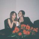 지센 이미지