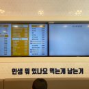 여우애김밥부산 이미지