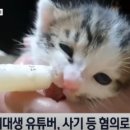 시선목장 이미지