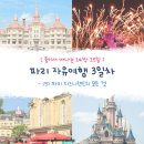 혜성PL | 파리 디즈니랜드의 모든 것(일루미네이션 명당/프리미어 액세스 얼티밋 내돈내산)