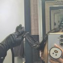 이루리학원 | 철산역 이철헤어커커 이루리팀장 레드펭귄 복구매직 후기｜극손상모 복구 성공