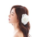 다이렉트엠 네이버블로그