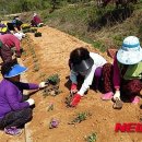 행복공동체 이미지