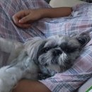 무넌~ 허구~ 무던 ~ 허계~