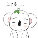 채널아이