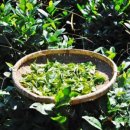 새뜸농장 이미지