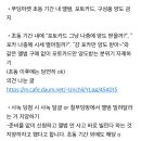 초동기간 내에 앨범 양도 지양하기로 했어요 이미지