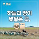 몽골 4박 5일 중부투어, 이런 여행은 태어나서 처음이야🤔