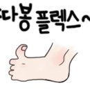 팅커벨폴스튜디오 - 남양주시 다산지금로16번길 87 | 팅커벨폴스튜디오