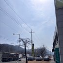 머릿고기가 푸짐한 주변 국밥집 제일 유명한 최미자와 비교 후기! 점심 식사하기 좋은 맛집 솔직 후기!