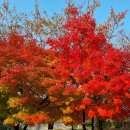 스마트폰활용지도사 이미지