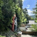 상(像) | 후쿠오카 열반상（福岡　涅槃像）