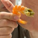 진하해수욕장 | 울산 진하해수욕장 횟집_해녀해물횟집 내돈내산 강추 후기!!