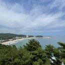 수산항물회