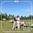 상주IC | 상주 아이와 가볼만한 곳 추천 '파머스룸' 19개월 아기와 다녀온 후기